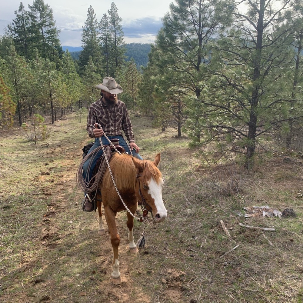 Meet your Posher, Western Merc